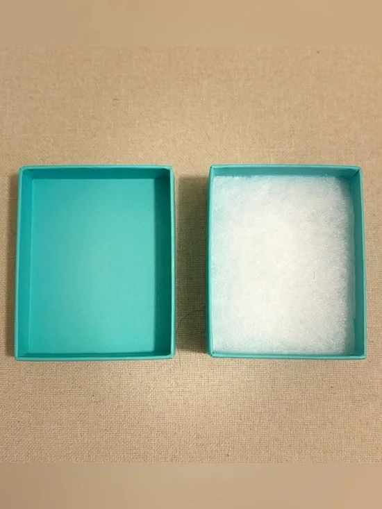 Tiffany & Co. Robin's Egg Blue Gift Bag with Matching Box - Picture 4 of 4